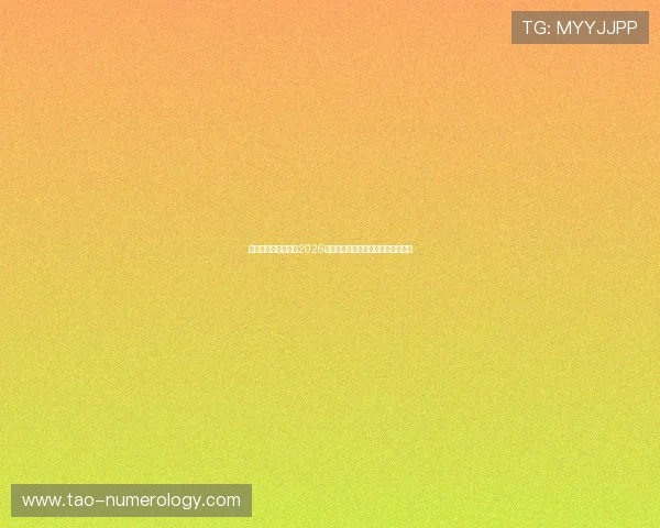 球探网比分详细分析2026世界杯比赛数据与球队表现全景解读